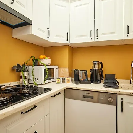 Prime Nisantasi 2br Flat 3-min Walk To Metro 伊斯坦布尔